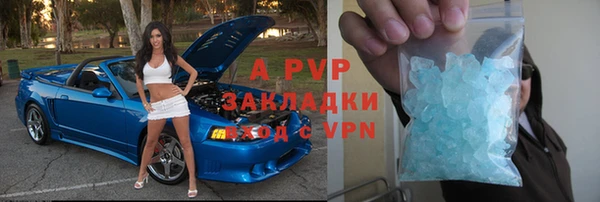 прущие грибы Баксан