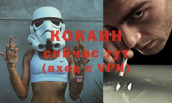 прущие грибы Баксан