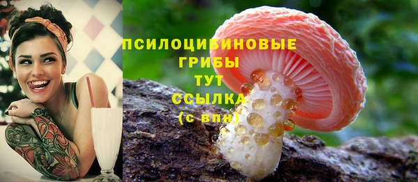 дживик Балабаново