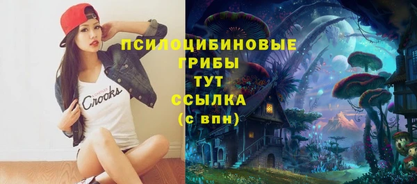 прущие грибы Баксан