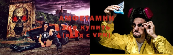 прущие грибы Баксан