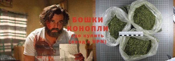 прущие грибы Баксан